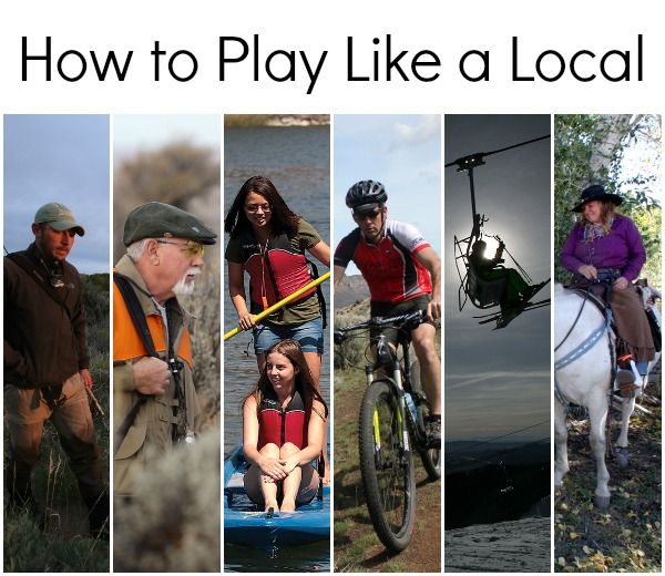 Year-round Guide